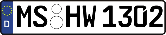 MS-HW1302