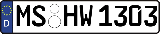MS-HW1303