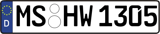 MS-HW1305