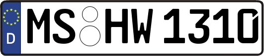 MS-HW1310