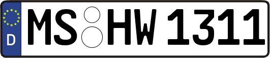 MS-HW1311