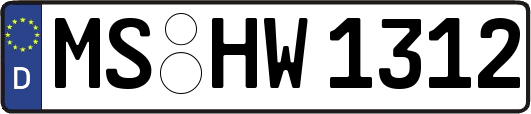 MS-HW1312