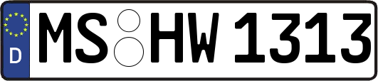 MS-HW1313