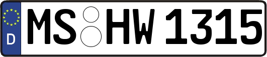 MS-HW1315