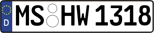 MS-HW1318