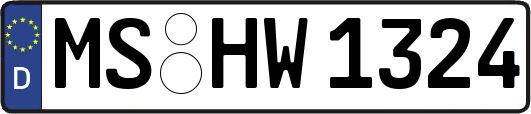 MS-HW1324