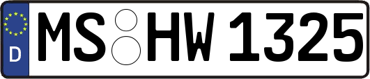 MS-HW1325