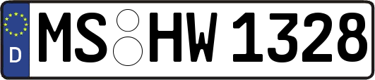 MS-HW1328