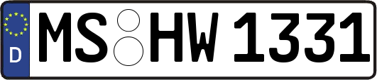 MS-HW1331