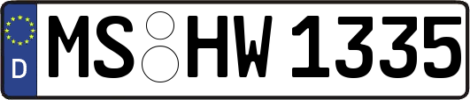 MS-HW1335