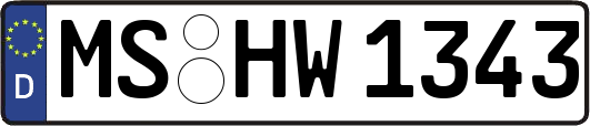 MS-HW1343