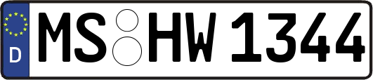 MS-HW1344