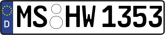 MS-HW1353