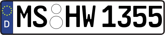 MS-HW1355