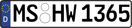 MS-HW1365