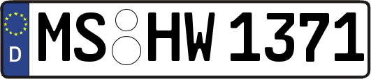 MS-HW1371