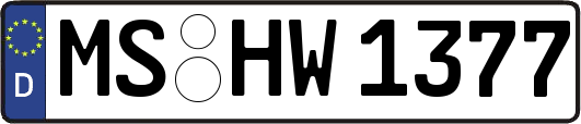 MS-HW1377
