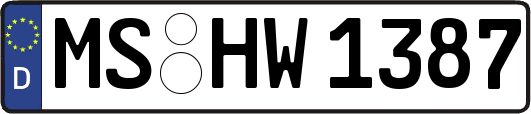 MS-HW1387