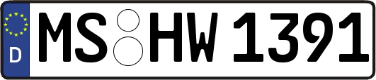 MS-HW1391