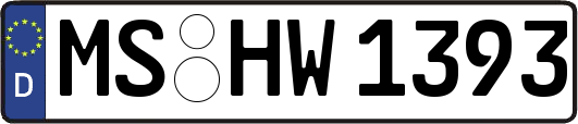 MS-HW1393