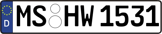 MS-HW1531