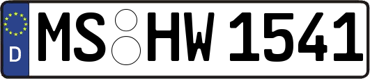 MS-HW1541