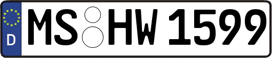 MS-HW1599