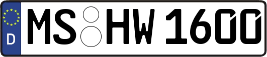 MS-HW1600