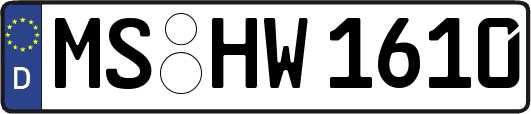 MS-HW1610