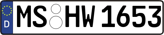 MS-HW1653