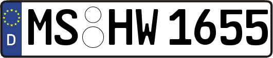 MS-HW1655