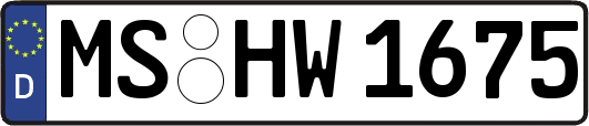 MS-HW1675