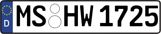 MS-HW1725