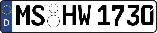 MS-HW1730