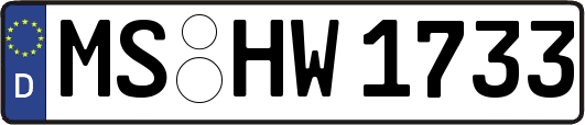 MS-HW1733