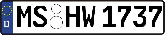 MS-HW1737