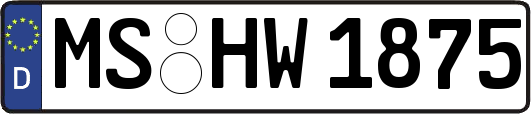 MS-HW1875