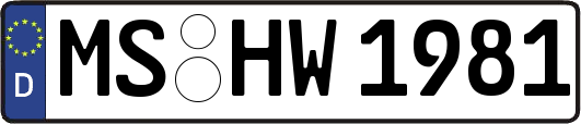 MS-HW1981