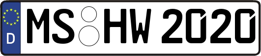 MS-HW2020