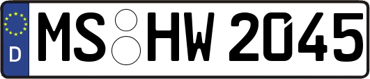 MS-HW2045