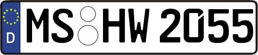 MS-HW2055