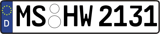 MS-HW2131
