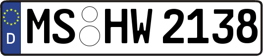 MS-HW2138