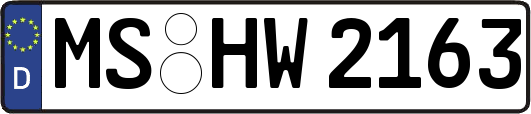 MS-HW2163