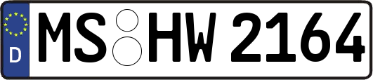 MS-HW2164