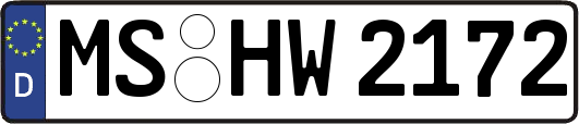 MS-HW2172