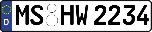 MS-HW2234