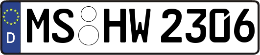 MS-HW2306