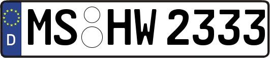 MS-HW2333