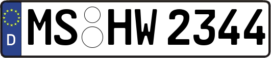 MS-HW2344